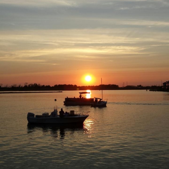 00. Live Show Alert Faranda Fashions! Tees Jeans Jewelry Bags Dresses - Picture 2 of 2